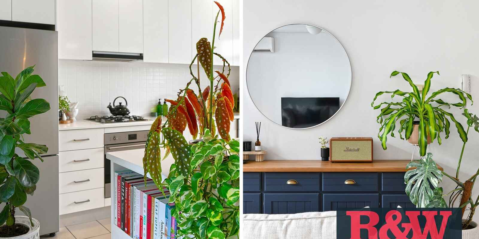 8/5 Lusty Street Wolli Creek 8/5 Lusty Street Wolli Creek
